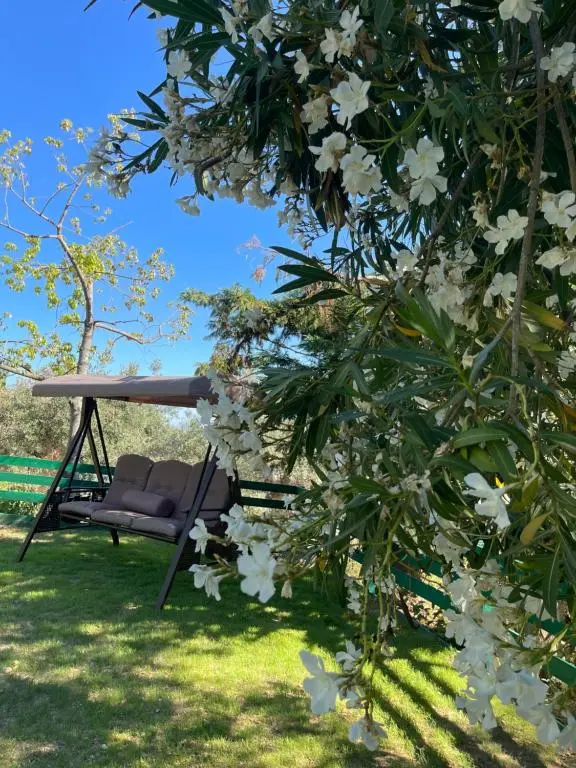 Rastoni Apartments Troulos provide a relaxing environment to unwind and make the most of your vacation in Skiathos. Located in the serene Troulos area, a short 15 minutes from Skiathos Town.