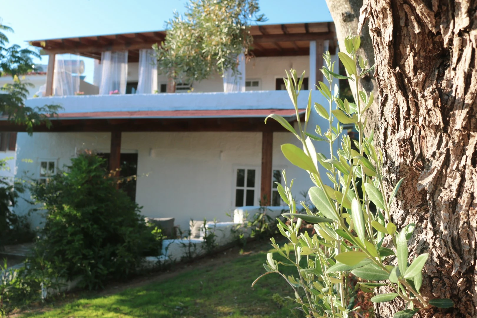 Rastoni Apartments Troulos provide a relaxing environment to unwind and make the most of your vacation in Skiathos. Located in the serene Troulos area, a short 15 minutes from Skiathos Town.